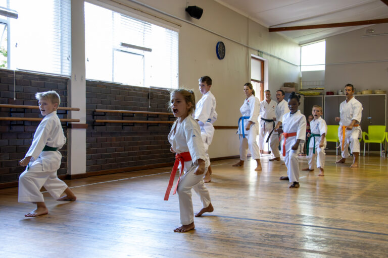 The Transformative Power of Consistent Effort in Karate Practice