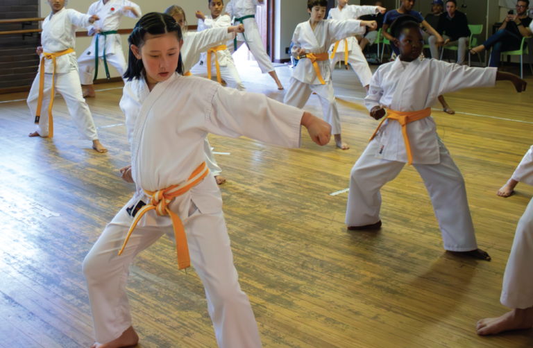 Discover the Benefits of JKA Karate for You and Your Kids at Paarl Karate.