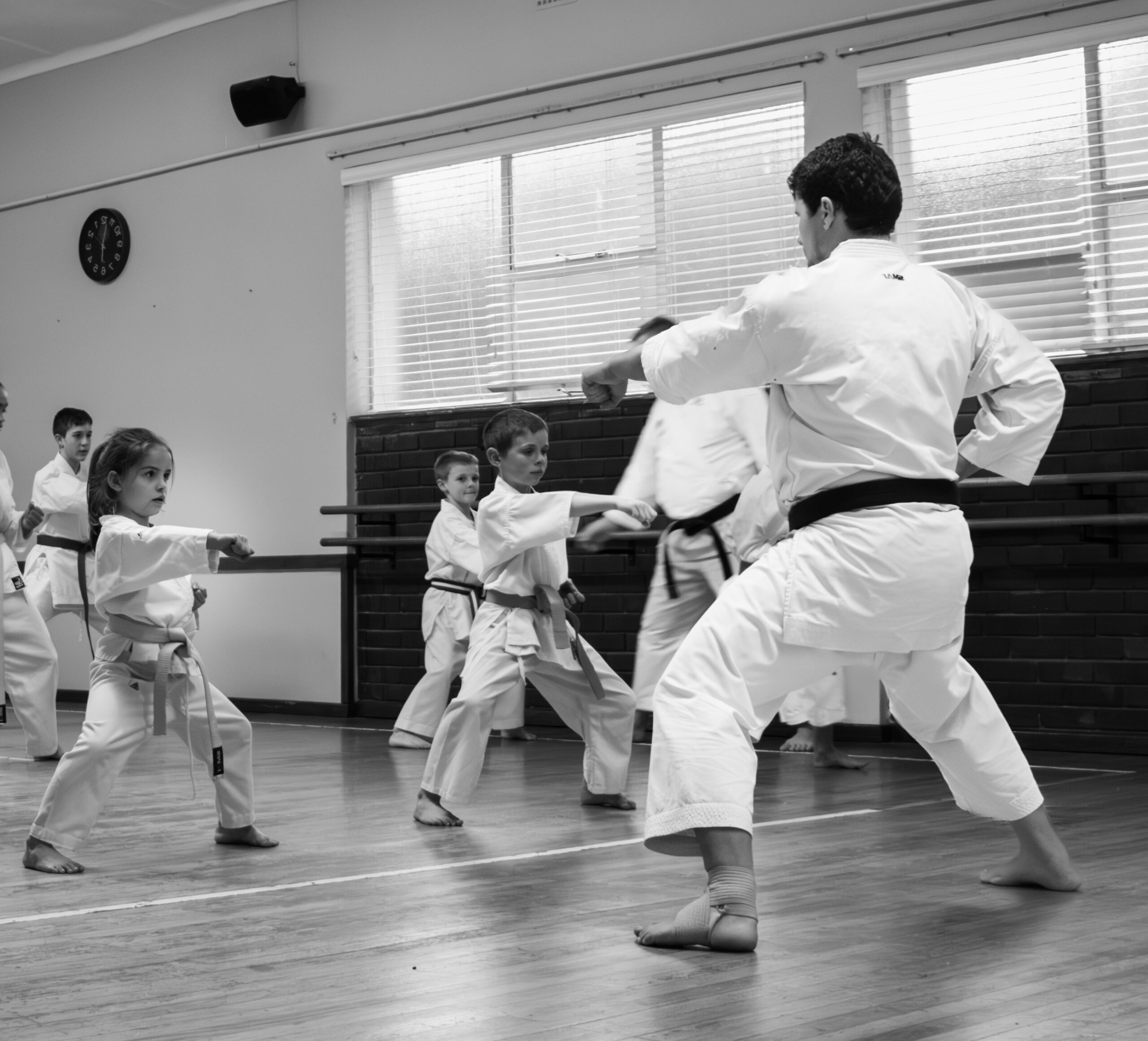 The Power of Kihon: Why JKA Karate Builds Champions from the Basics Up